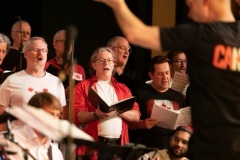 Canadianrock-klein_47