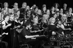 VHS_Konzert_10062026-110-Copy